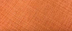 光沢が綺麗なのれん素材